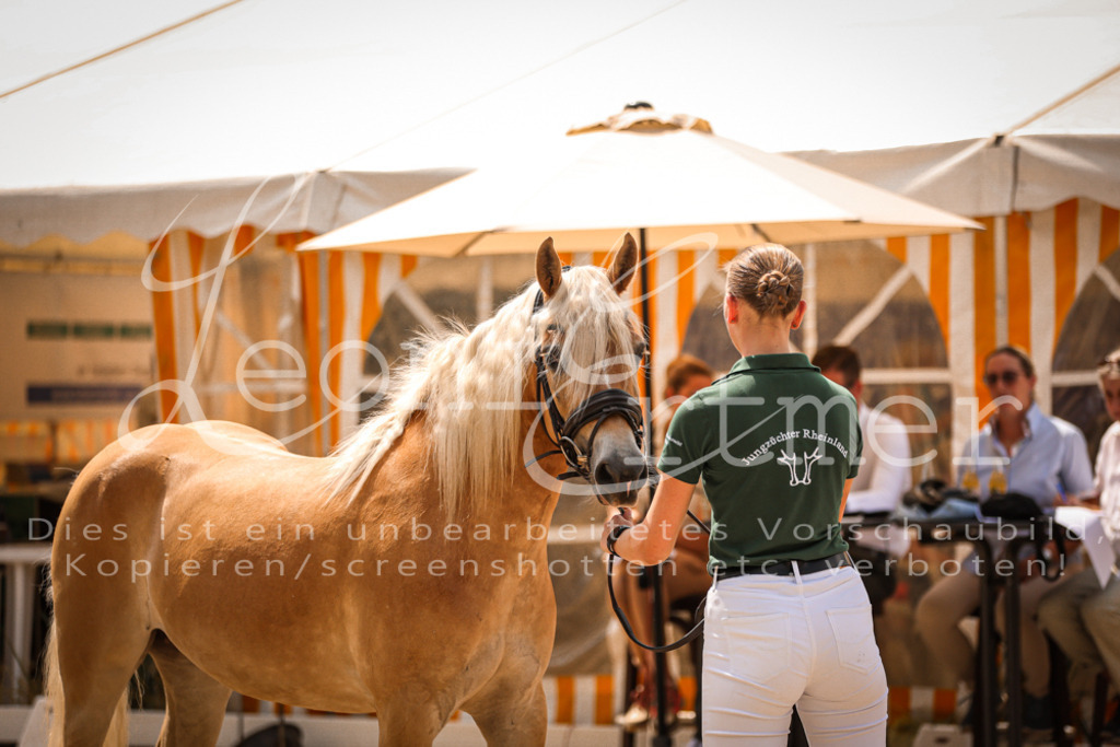 06.So00044 | Leoni Ertmer Photography - Realisiert mit Pictrs.com