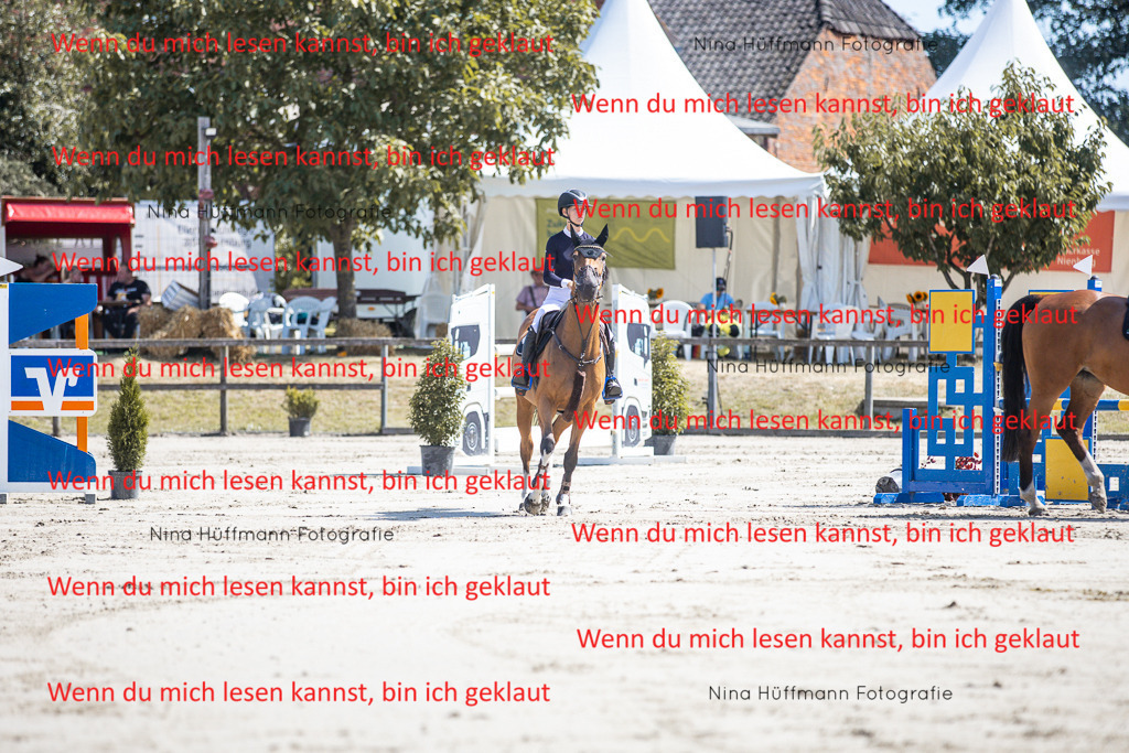 BK1A6576 | Turnierbilder Turnierfotos Nina Hüffmann Turnierfotografie Pferdefotografie Tierzeichnung Haustierzeichnung Pferdezeichnung Hundezeichnung Videograf  - Realisiert mit Pictrs.com