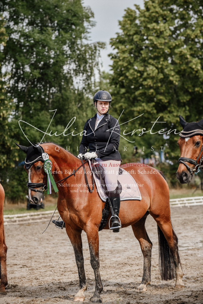 DSC_9367 | Pferde- und Turnierfotografie in Westsachsen. Pferdeportraits, Auftragszeichnungen und intuitive Kunst.