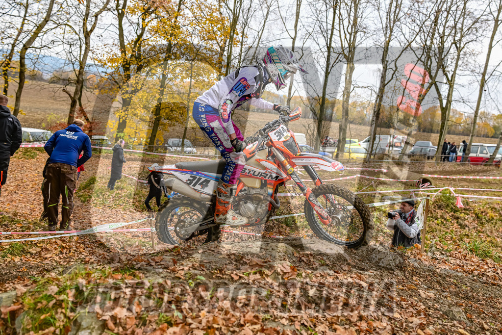 NZ8_6642 | grenznic640