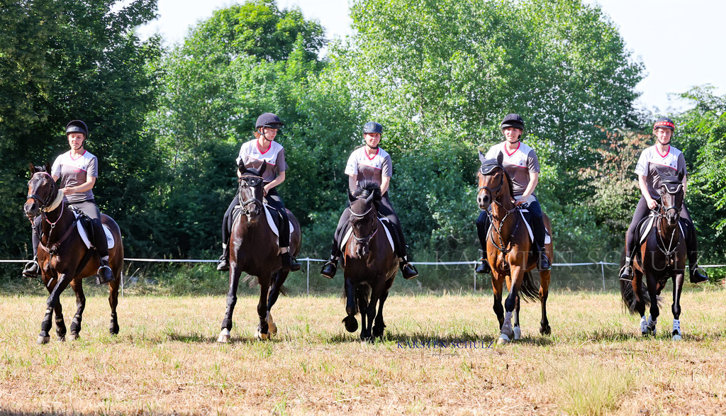 1B3A7741 | Reitsport Reiten