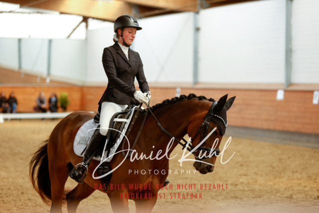 _62_4702 | Turniersportfotografie; Pferdefotografie; Dressurfotografie