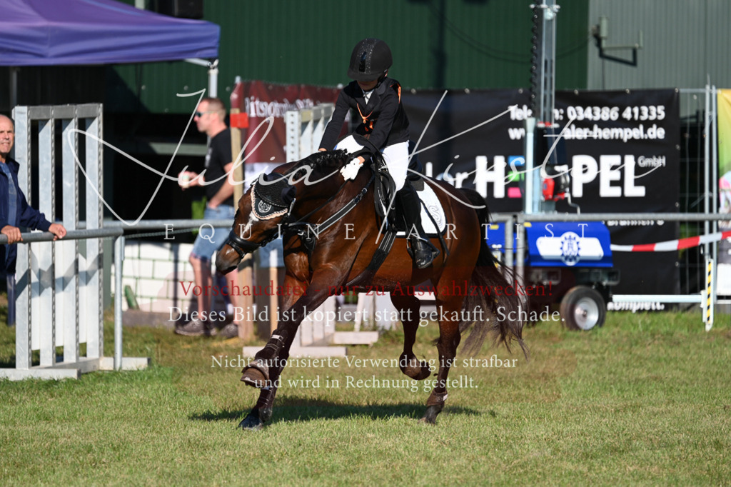DSC_4767 | Pferde- und Turnierfotografie in Westsachsen. Pferdeportraits, Auftragszeichnungen und intuitive Kunst.
