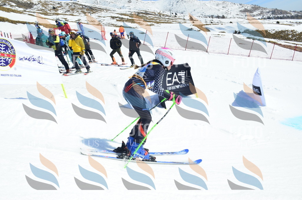 _ELE1072 | holidayphoto