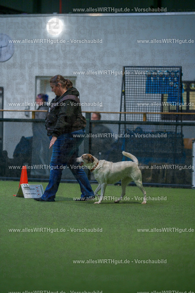 7R503345 | Professionelle Tierfotografie in Mönchengladbach von Daniel Wirth (allesWIRTHgut). Liebevolle & natürliche Bilder von Hunden & Katzen für unvergessliche Erinnerungen.