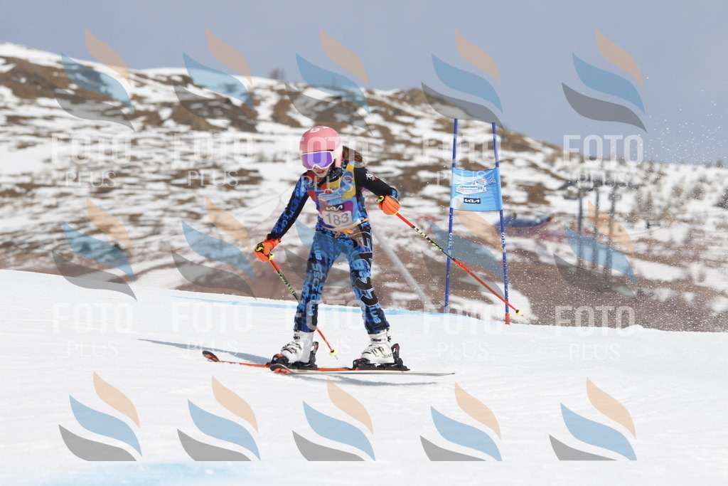 _U3G1780 | holidayphoto