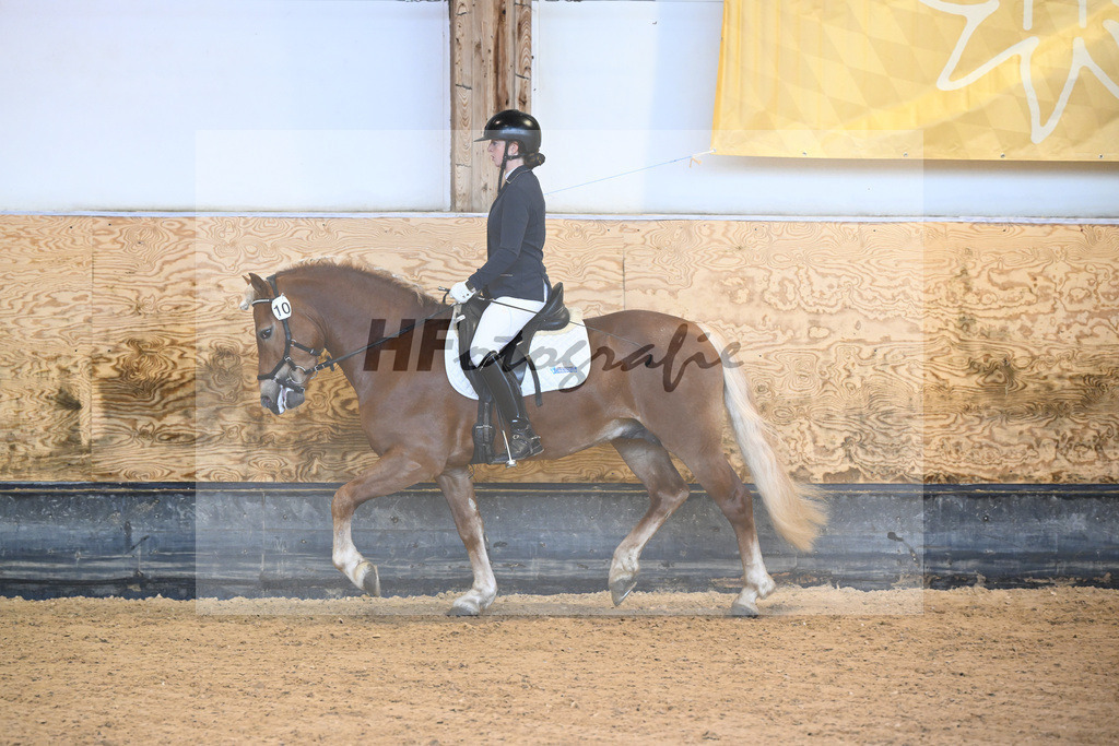 Kat-Nr. 10 Napoleon Bonaparte_Blum_44240301 | hf-fotografie - Realisiert mit Pictrs.com