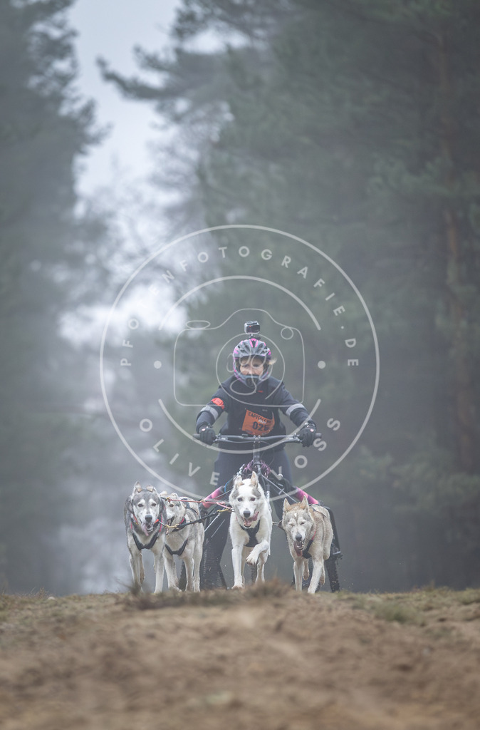 Pfotenfotografie_DV3A0601 | Hundefotografie, Tierfotograf, Pfotenfotografie, Fotoshooting Hund, Hunde Portrait, Hundesport, Hundeportraits, Heideshooting, Hunde, Sportfotograf, Hundefotograf, Turnierhundsport, THS,  - Realisiert mit Pictrs.com