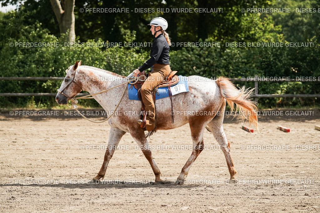 DSC06318 | Pferdegrafie