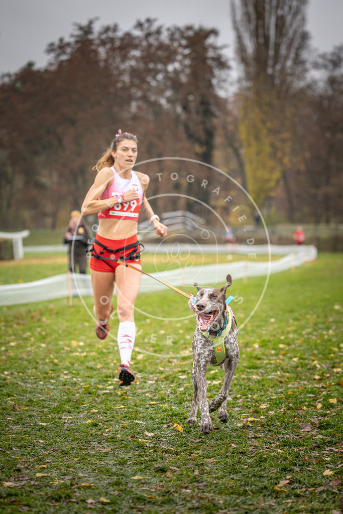 CaniXpix_DV3A9174 | Hundefotografie, Tierfotograf, Pfotenfotografie, Fotoshooting Hund, Hunde Portrait, Hundesport, Hundeportraits, Heideshooting, Hunde, Sportfotograf, Hundefotograf, Turnierhundsport, THS,  - Realisiert mit Pictrs.com