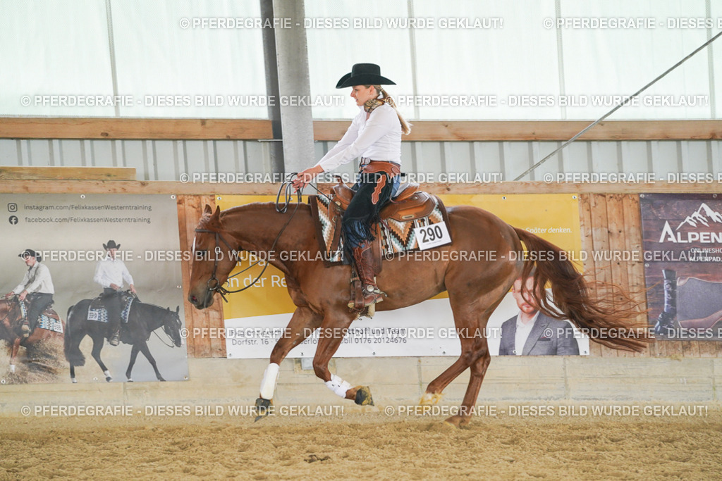 DSC06049 | Pferdegrafie