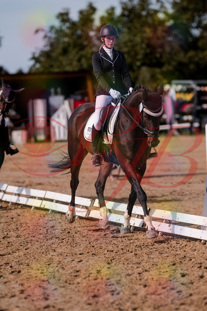 2026_10_03_Siefer-Hof_132519_Z81_75469687 | Professionelle Reitsport-, Turnier- und Eventfotografie von Robert Broda. Galerien mit ausgewählten und bearbeiteten Bildern direkt online ansehen und bestellen.