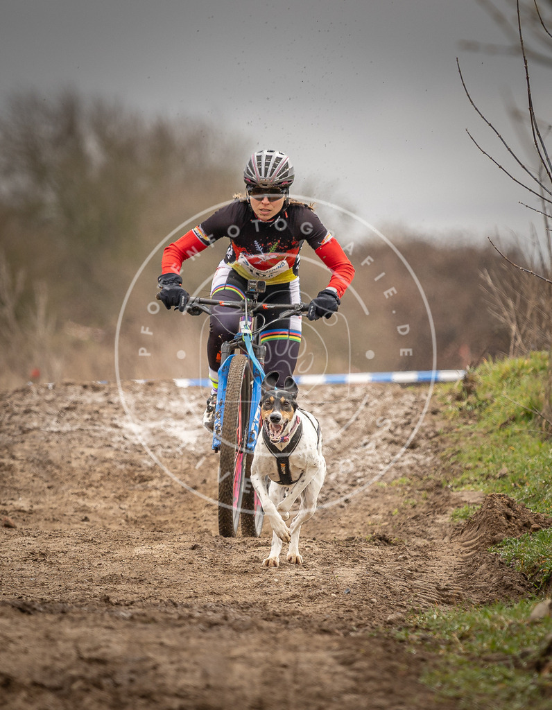 DV3A0632 | Hundefotografie, Tierfotograf, Pfotenfotografie, Fotoshooting Hund, Hunde Portrait, Hundesport, Hundeportraits, Heideshooting, Hunde, Sportfotograf, Hundefotograf, Turnierhundsport, THS,  - Realisiert mit Pictrs.com