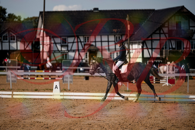 2026_10_03_Siefer-Hof_120108_Z63_33105566 | Professionelle Reitsport-, Turnier- und Eventfotografie von Robert Broda. Galerien mit ausgewählten und bearbeiteten Bildern direkt online ansehen und bestellen.