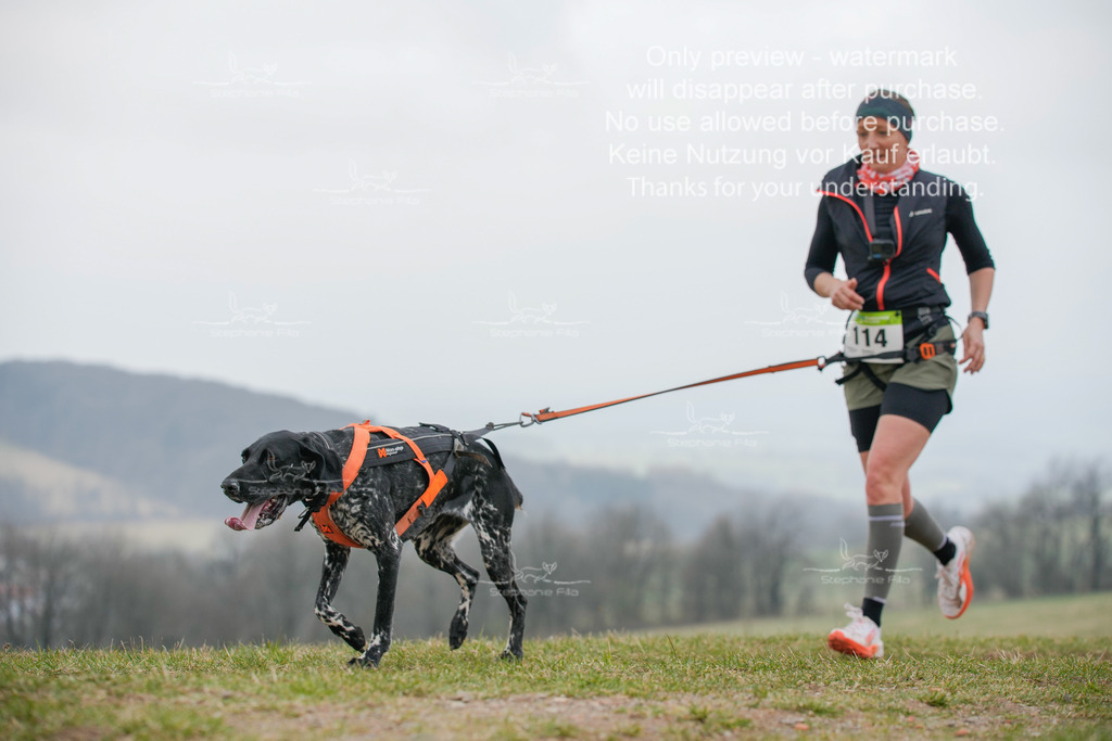 Canixlong-305 | stephaniefillaphotographie - Realisiert mit Pictrs.com