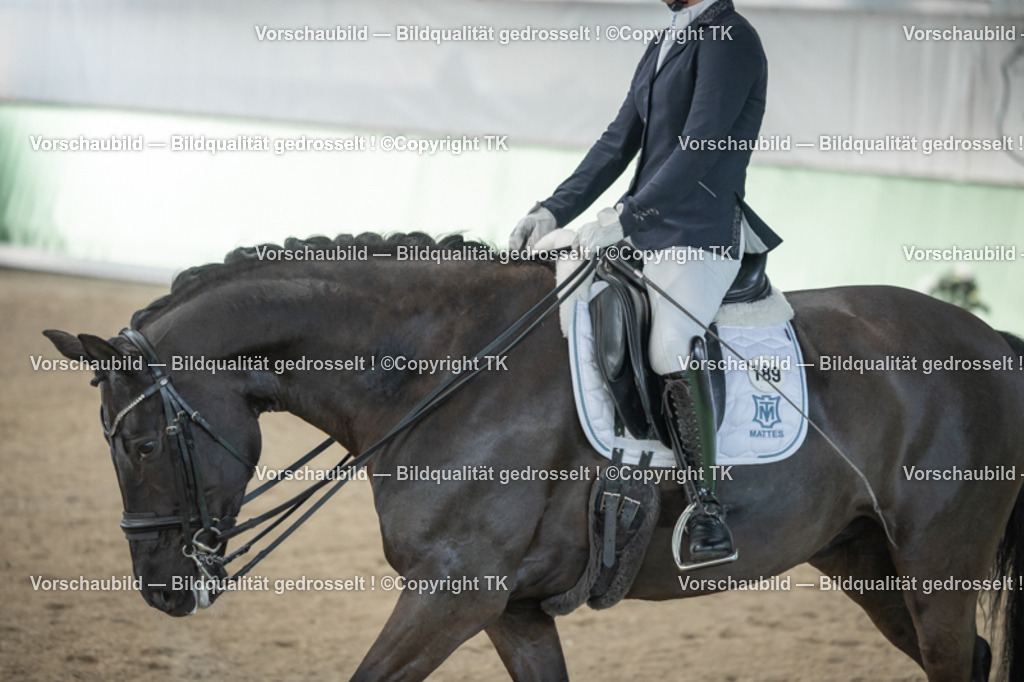 _D5A4140 | Emotionale Pferde- & People-Fotografie rund um Heidelberg, Leimen & Umgebung. Natürliche Fotos von Pferd, Mensch & Familie. Jetzt Termin sichern!