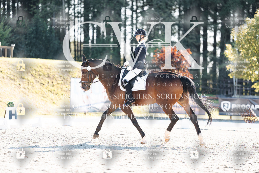 CK906453 | Turnierfotografie Pferdefotografie Trier Rheinland-Pfalz Pferdesport Reitsport Tierfotografie Sportfotografie Pferdevideo Pferdevideografie Equestrianvideography equestrianphotography  - Realisiert mit Pictrs.com