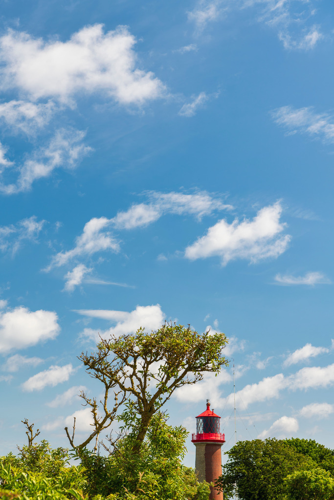 2025_07_09_FEHMARN-LEUCHTTURM+SCHMETTERLINGE_MCP8868 | Hochwertig gedruckte Fotografien für die Wand, als Kalender und zum Verschenken. Hamburg & Norddeutschland und überall wo ich mit der Kamera unterwegs war.
