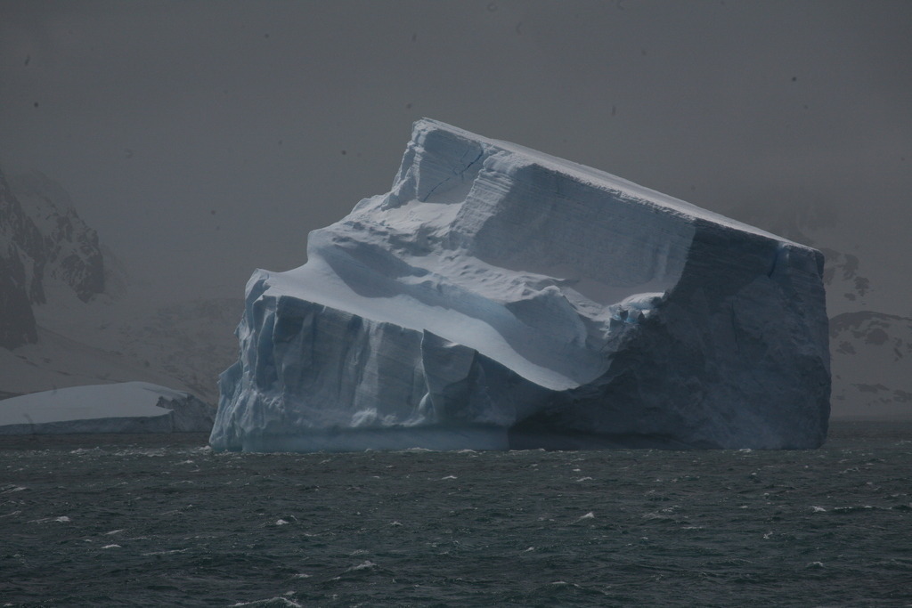 IMG_7417 | Antarktis / Antarctica - Realisiert mit Pictrs.com