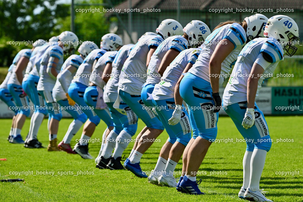 Carinthian Lions vs. Styrian Bears | Carinthian Lions vs. Styrian Bears, Carinthian Lions vs. Styrian Bears am 20.05.2024 in Klagenfurt (ASV Sportplatz), Austria, (Photo by Bernd Stefan)