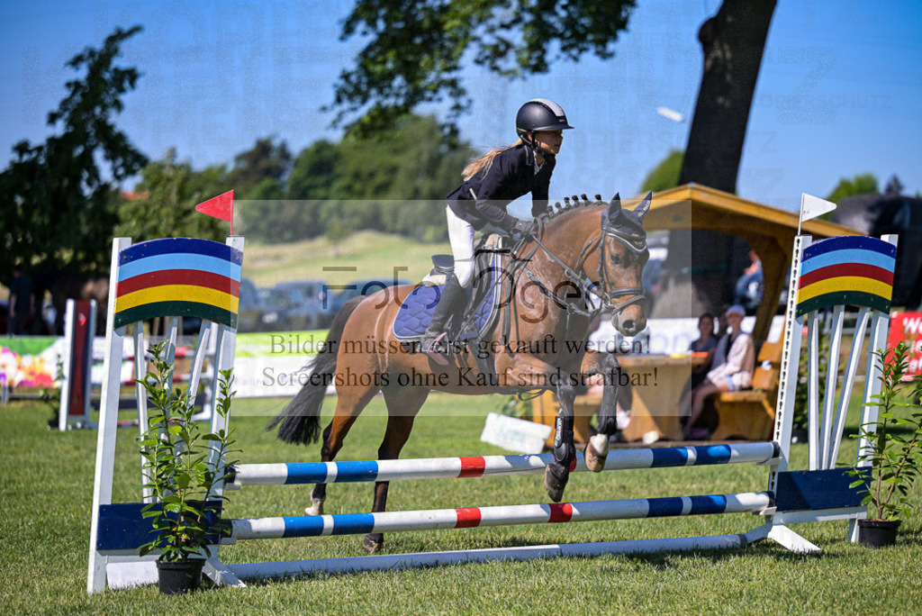 Reitturnier Voxtrup | Entdecke hochwertige Reitturnierfotos von Foto Oger. Professionell, emotional und authentisch – jetzt Lieblingsmomente im Shop bestellen.Deutschlandweite Turnierfotografie. - Realisiert mit Pictrs.com