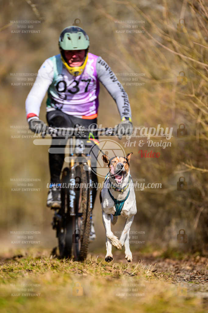 MompixPhotography_Schwabentrail2025_SO_Bike-52 | PayLife