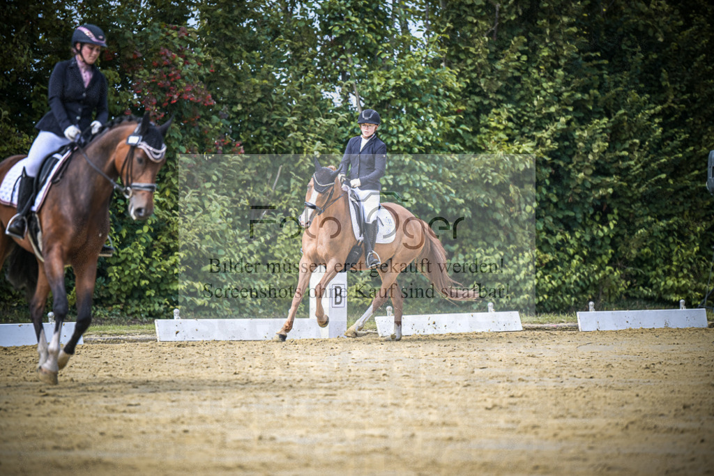 DOS_5427 | Entdecke hochwertige Reitturnierfotos von Foto Oger. Professionell, emotional und authentisch – jetzt Lieblingsmomente im Shop bestellen.Deutschlandweite Turnierfotografie. - Realisiert mit Pictrs.com