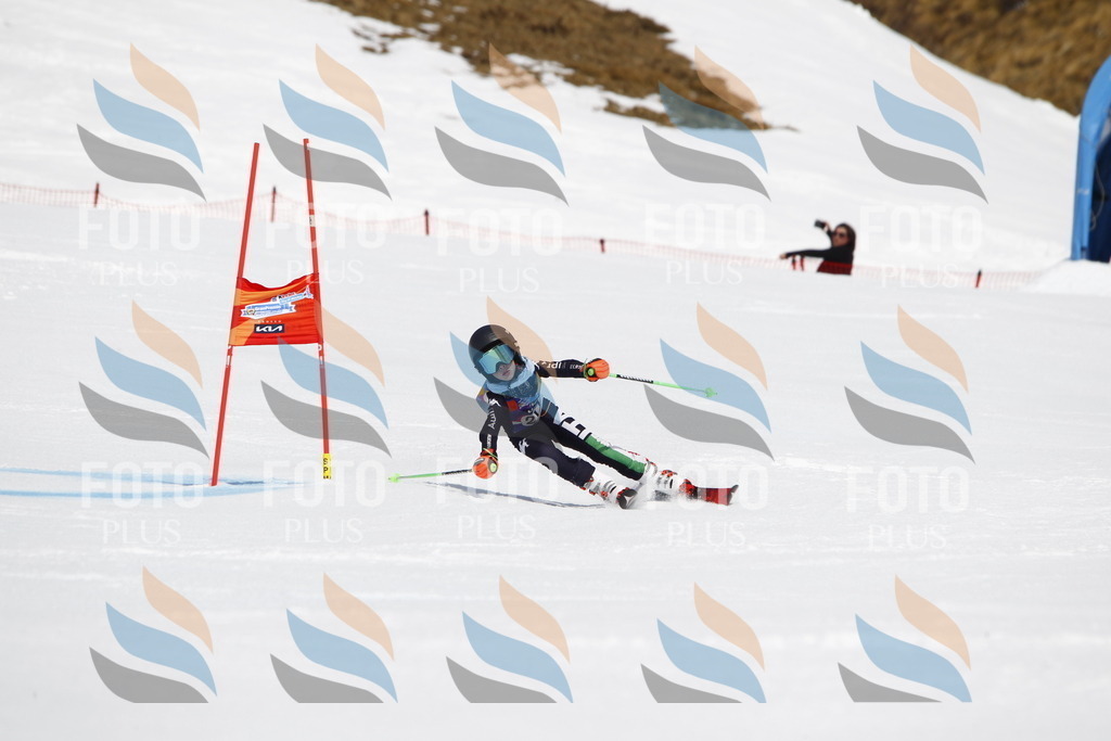 _U3G5431 | holidayphoto