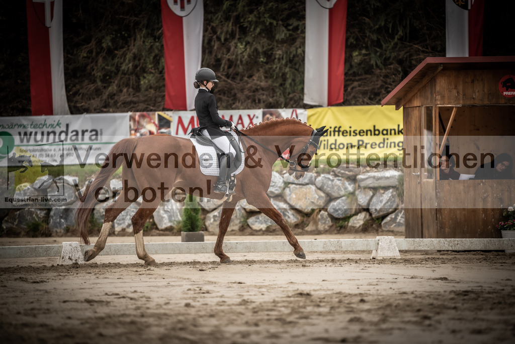 DSC_0228 | equestrian-live-com