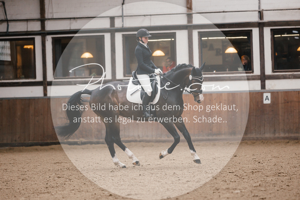 3I6A7187 | Stimmungsvolle Portraits und Reitsportfotografie im Ruhrgebiet und im Münsterland.

Pferdefotografie, Hundefotografie, Tierfotografie, Reportagen, Portraits von Tier und Mensch, Turnierfotografie in Bochum, Recklinghausen, Marl, Haltern am See, Dülmen.. - Realisiert mit Pictrs.com