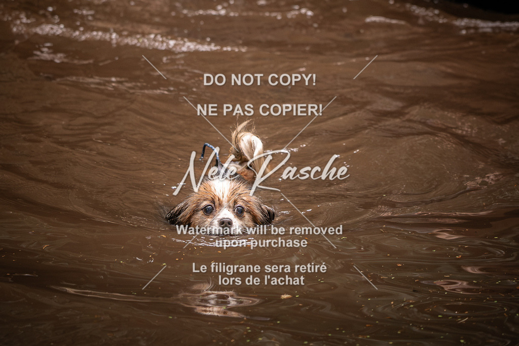 nelerasche_Wingst_Sa1330-1400_326 | nelerasche