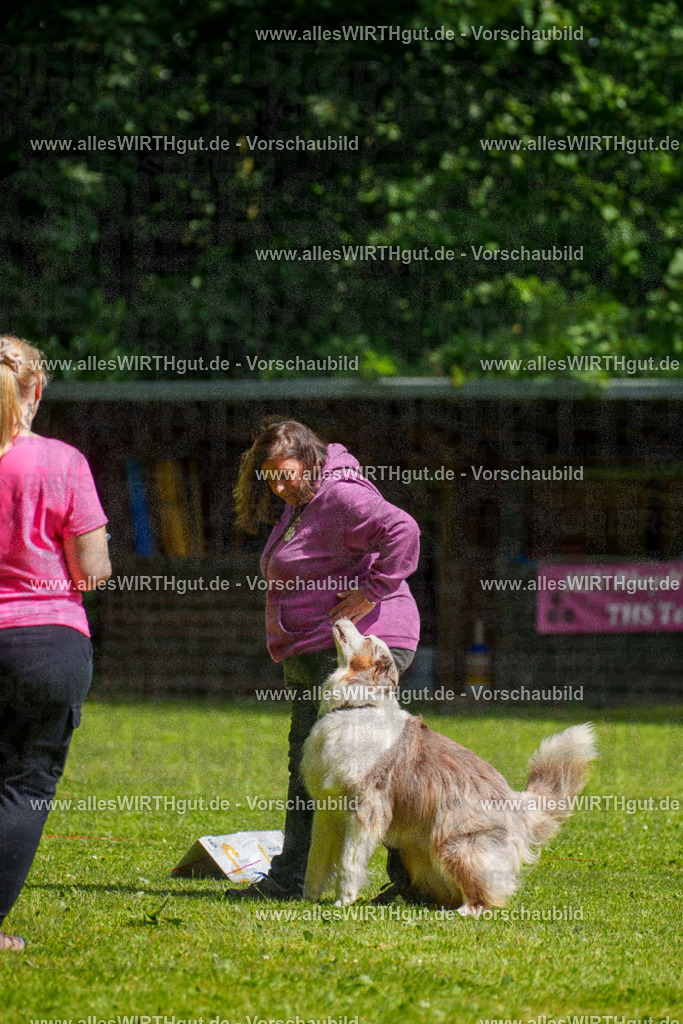 @allesWIRTHgut_Tierfotografie - www.allesWIRTHgut.de - 7R503289 | Professionelle Tierfotografie in Mönchengladbach von Daniel Wirth (allesWIRTHgut). Liebevolle & natürliche Bilder von Hunden & Katzen für unvergessliche Erinnerungen.