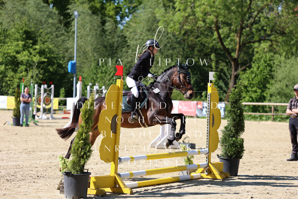 IMGS4534 | pl-fotografie