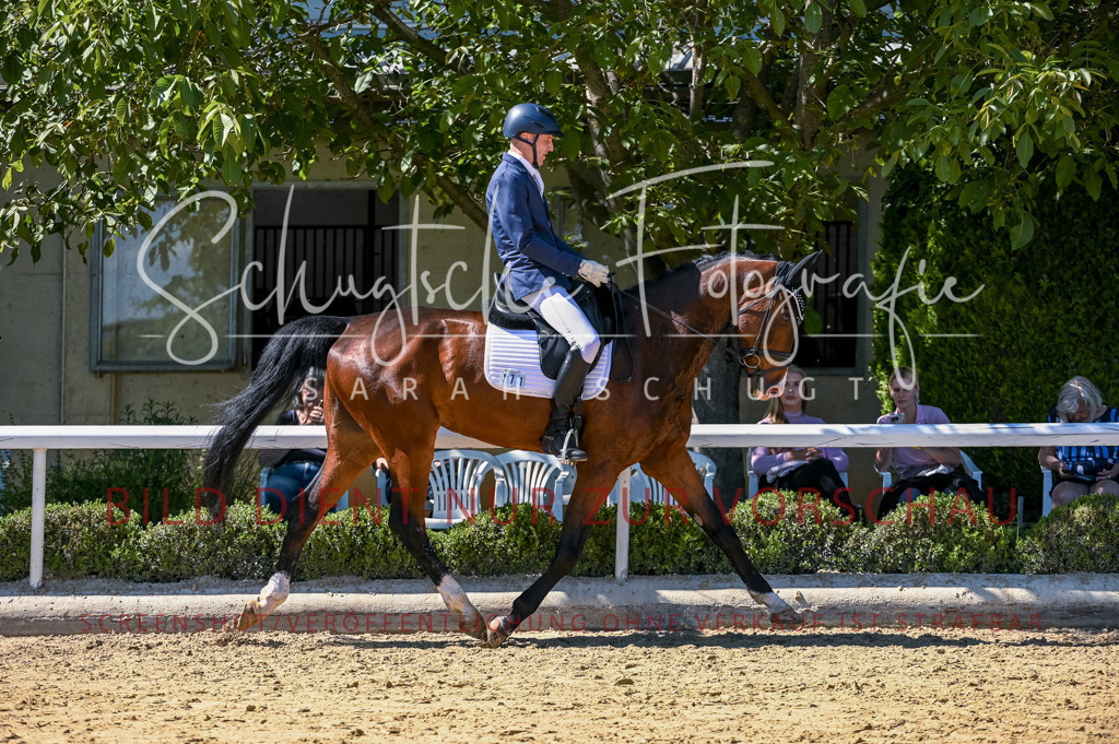 Schugtsche-Aluta25-50.Dressurpferdeprf.L-32 | Schugtsche Fotografie - Realisiert mit Pictrs.com