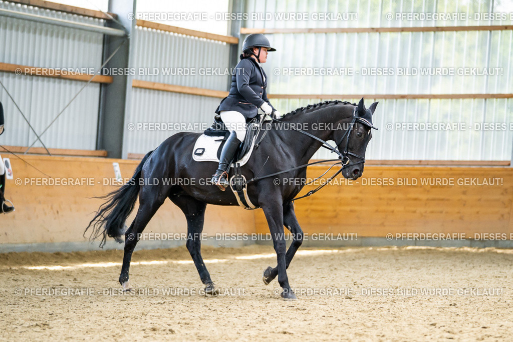 DSC04423 | Pferdegrafie