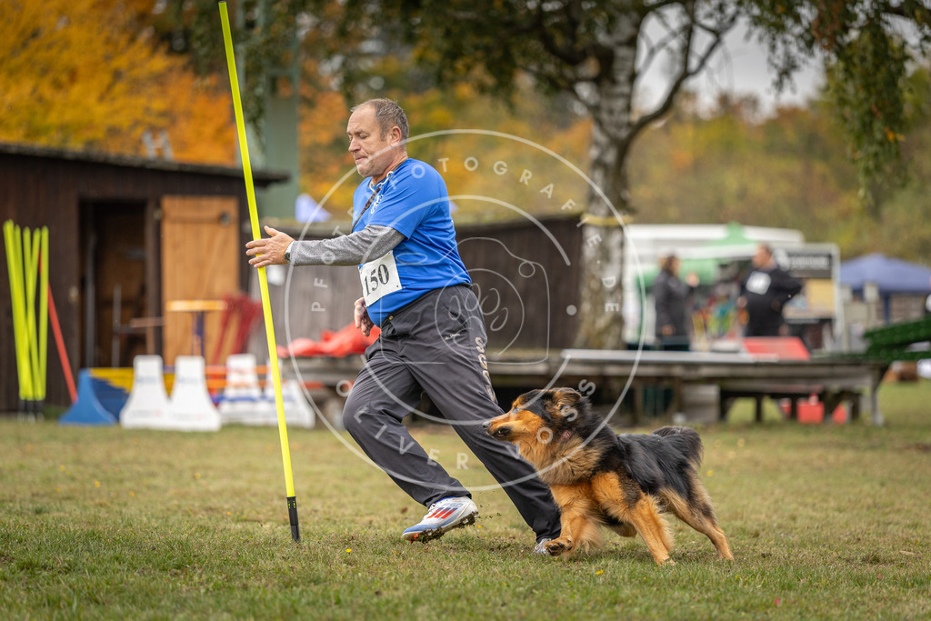 Pfotenfotografie_DV3A6201 | Hundefotografie, Tierfotograf, Pfotenfotografie, Fotoshooting Hund, Hunde Portrait, Hundesport, Hundeportraits, Heideshooting, Hunde, Sportfotograf, Hundefotograf, Turnierhundsport, THS,  - Realisiert mit Pictrs.com