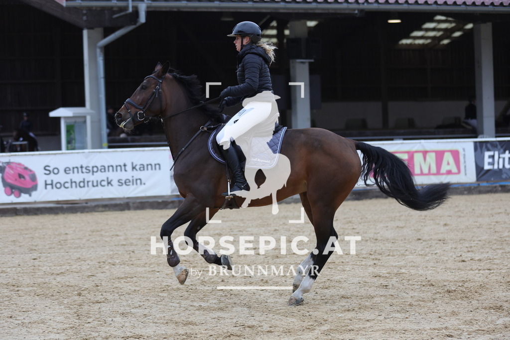 0P6A6061 | Willkommen bei Brunnmayr - Design & Fotografie – Ihrem Spezialisten für Reitturniere und Pferdeveranstaltungen in Oberösterreich, Salzburg und Bayern! Seit über 17 Jahren sind wir leidenschaftlich dabei.