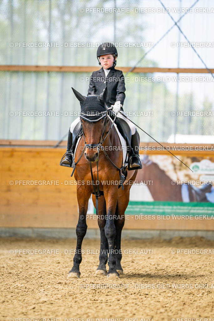 DSC02719 | Pferdegrafie