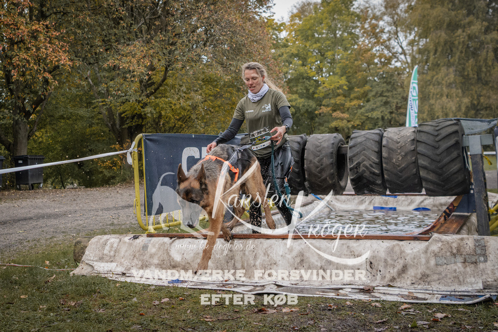 1618_ZZ93001 | kk-dogfotos