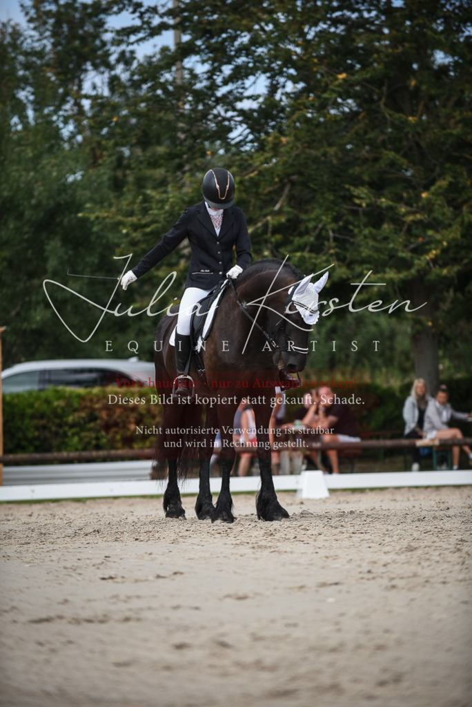 DSC_8616 | Pferde- und Turnierfotografie in Westsachsen. Pferdeportraits, Auftragszeichnungen und intuitive Kunst.