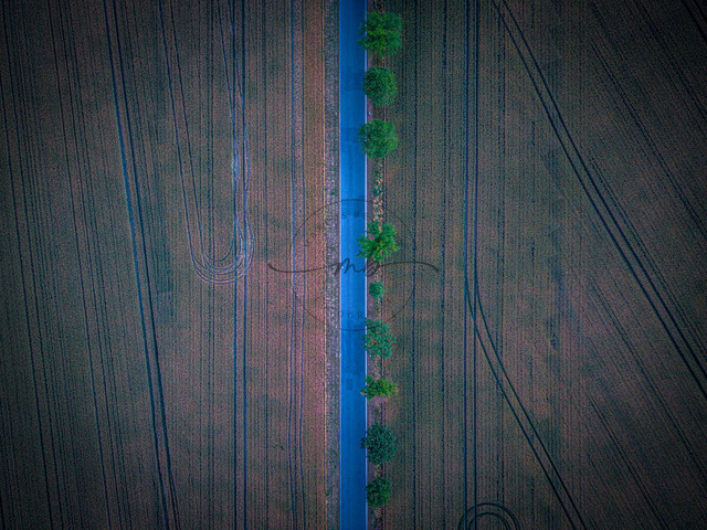 2026-06-26_22-19-23_000 | default Straße mit Bäumen, die Felder im gleichmäßigen Muster durchquert, aus der Vogelperspektive aufgenommen, Zeulenroda-Triebes, Thüringen, Deutschland - Realisiert mit Pictrs.com
