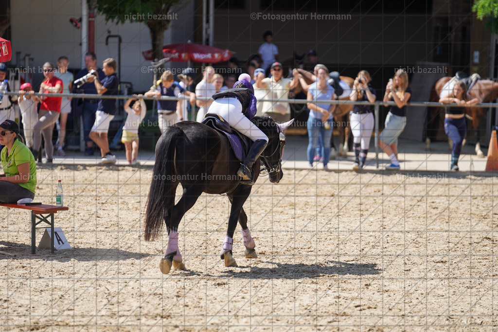 20240824-FAH08144 | Thierhaupten 2024, Bayerisches Landesponyturnier, Turnierbilder, Ponybilder, Turnierfotografen Bayern, Fotoagentur Herrmann