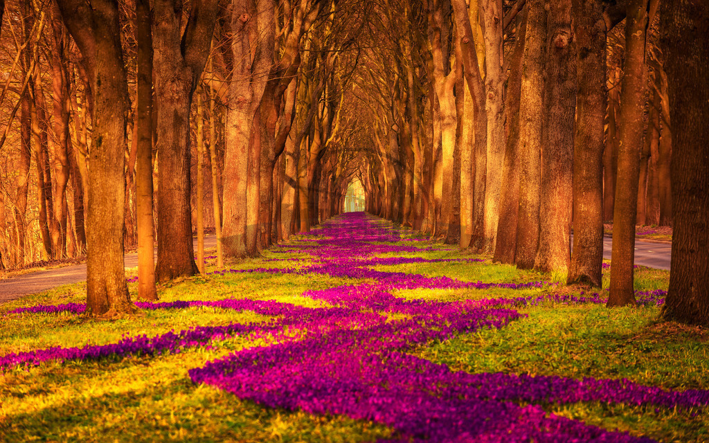 stativkunst-759 | Exklusive Hamburg collagen, tolle Segelbilder und viele weitere tolle Motive auf Leinwand, Poster, Alu-Dibond, u.v.m. findet Ihr bei uns auf hamburgbild.de. Findet Euer Wandbild für Euer Zuhause, Büro oder die  Praxis…. - Realisiert mit Pictrs.com