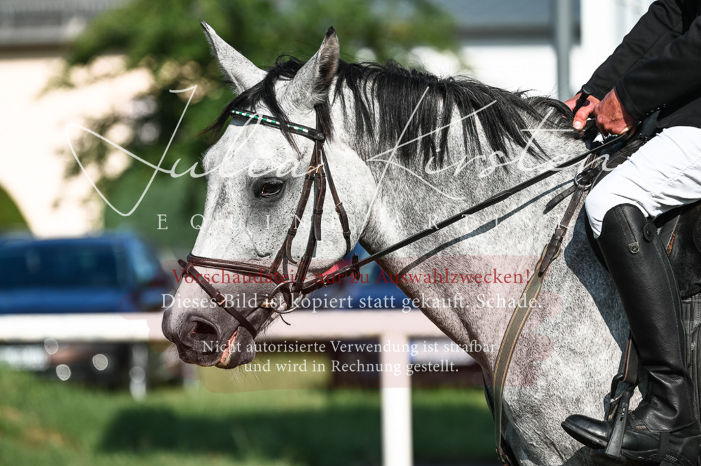DSC_7486 | Pferde- und Turnierfotografie in Westsachsen. Pferdeportraits, Auftragszeichnungen und intuitive Kunst.