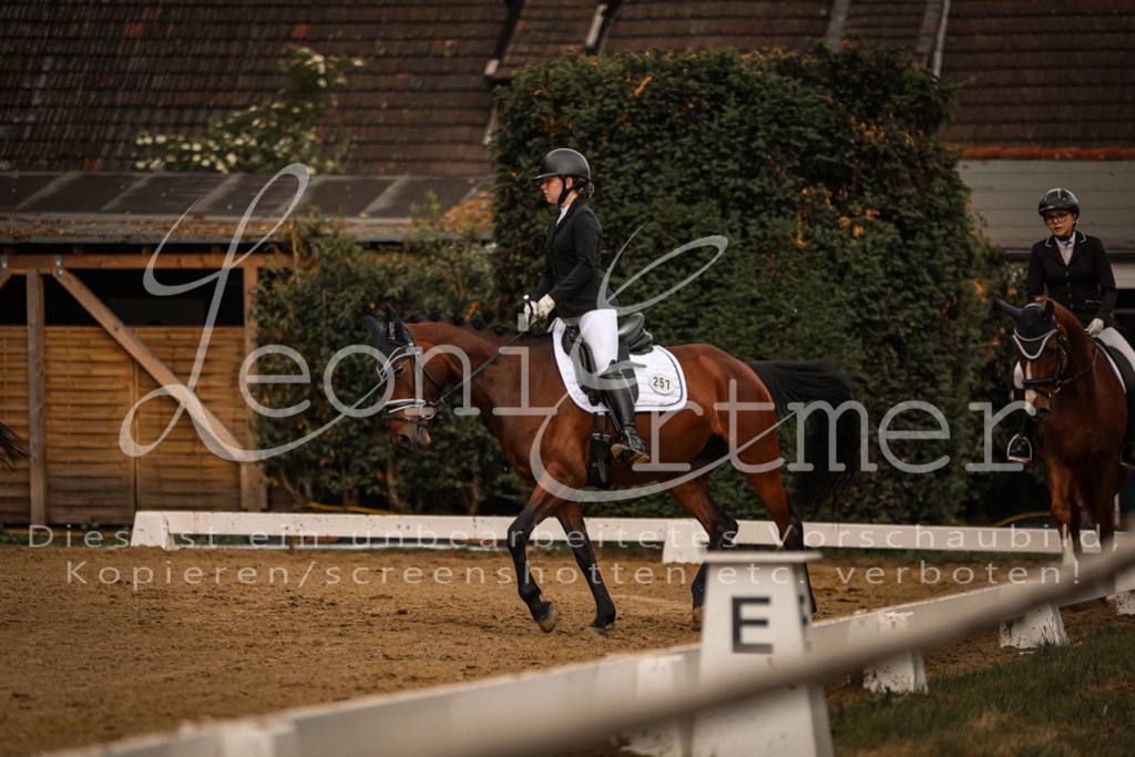 DoDrE00095 | Leoni Ertmer Photography - Realisiert mit Pictrs.com