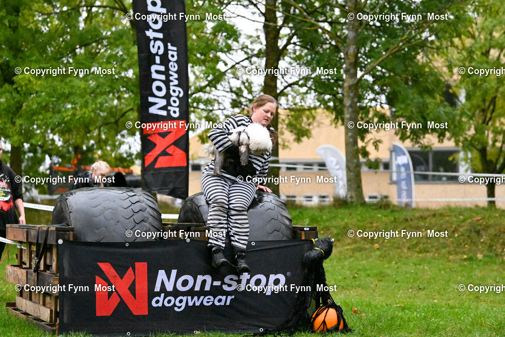 DSC_1137 | Hallo und herzlich Willkommen auf meiner Shop-Seite Fynn Most.

Ich wünsche Dir viel Spaß beim stöbern durch die Bilder, wenn Du Fragen hast oder Bilder vermisst, kannst du mir gerne eine Nachricht schreiben. - Realized with Pictrs.com
