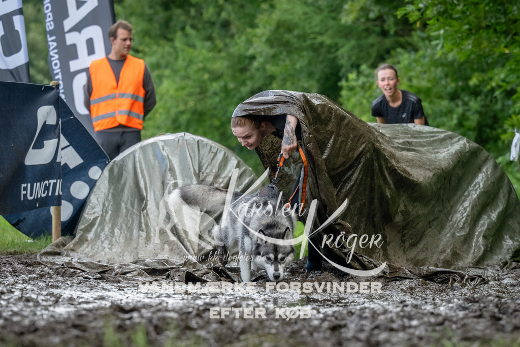 1156_ZZ90457 | kk-dogfotos