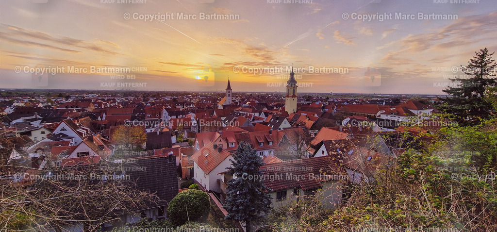 20240326_182725 | Marc Bartmann - Fotografie Schriesheim - Realisiert mit Pictrs.com