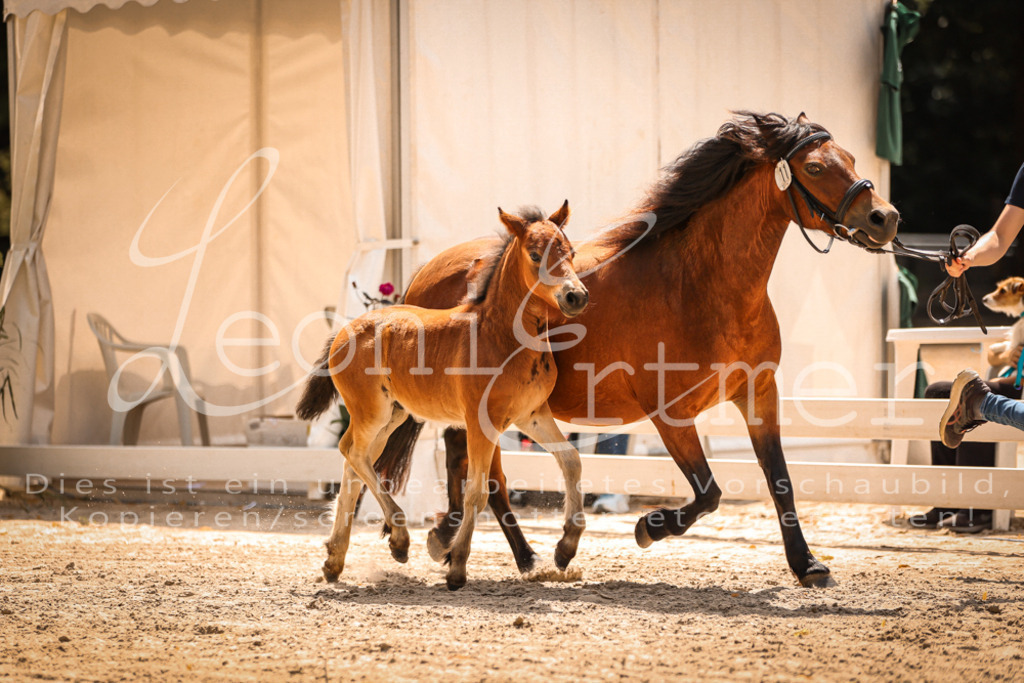 02.DoSR00138 | Leoni Ertmer Photography - Realisiert mit Pictrs.com