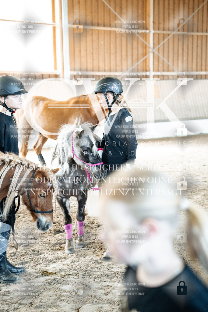 CK703200 | Turnierfotografie Pferdefotografie Trier Rheinland-Pfalz Pferdesport Reitsport Tierfotografie Sportfotografie Pferdevideo Pferdevideografie Equestrianvideography equestrianphotography  - Realized with Pictrs.com